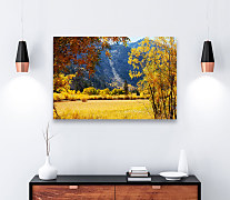 Obraz Babie leto zs1157